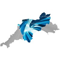 Connecting Devon and Somerset Logo